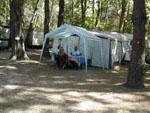 caravane